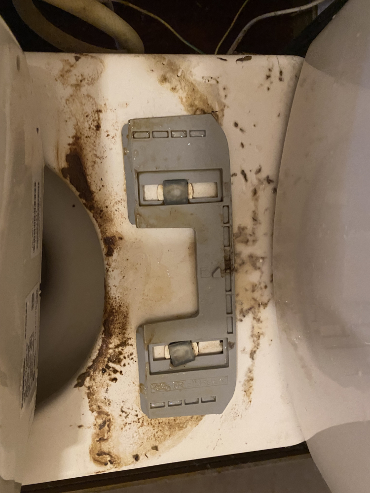 愛知県岡崎市新堀町のトイレクリーニングの作業前2