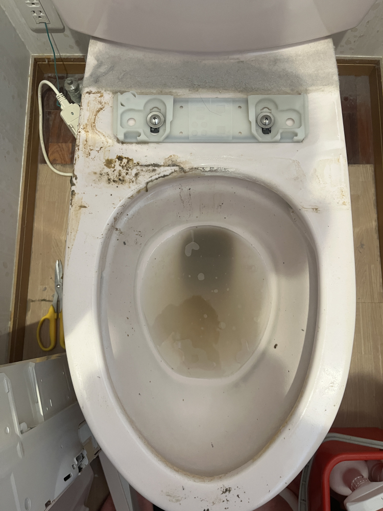 愛知県安城市のトイレクリーニングの作業前3