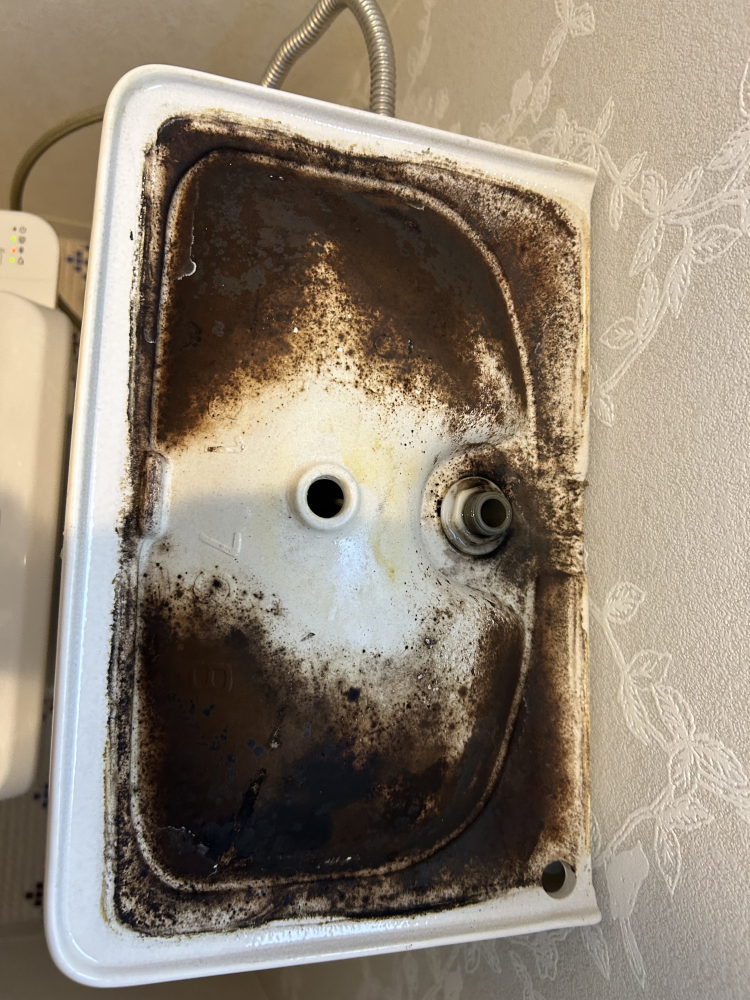 兵庫県宝塚市のトイレクリーニングの作業前2