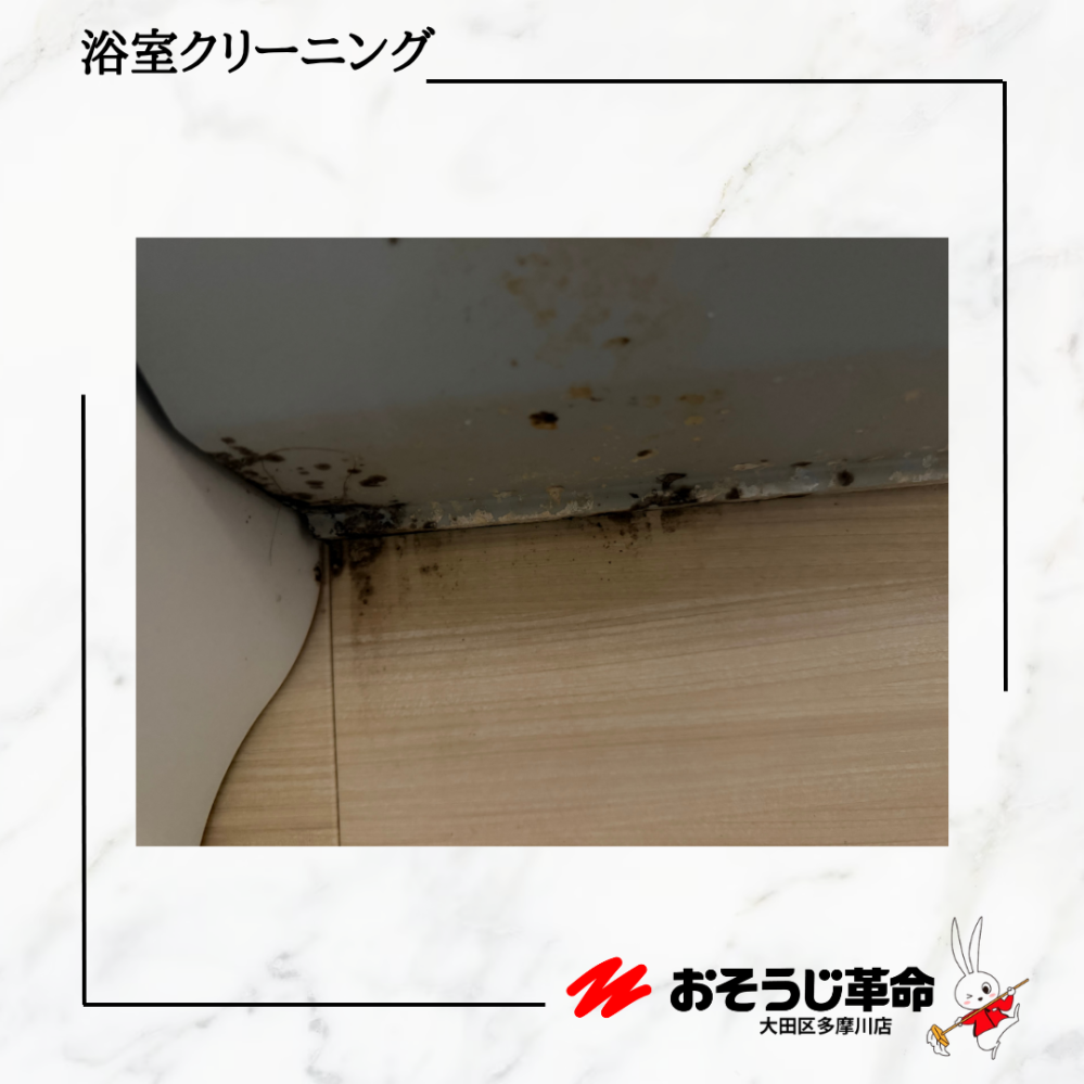 東京都目黒区鷹番の浴室・お風呂クリーニングの作業前1