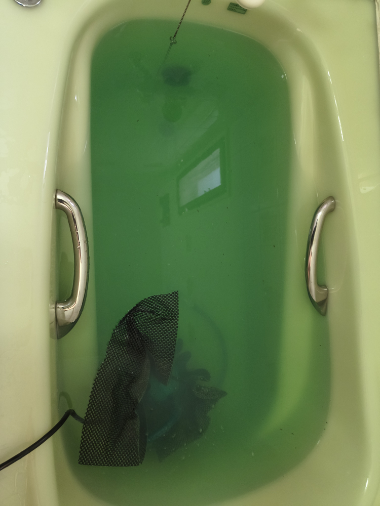 埼玉県さいたま市中央区の追い焚き配管除菌洗浄の作業前2