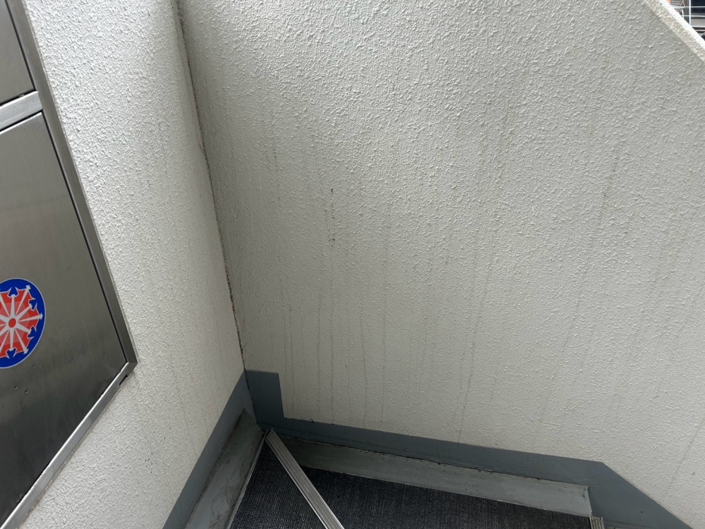 神奈川県川崎市川崎区のビル・マンション共用部清掃の作業後2