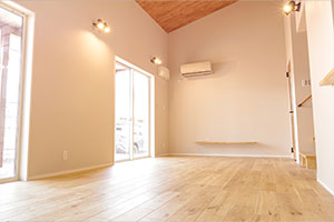 簡易清掃パック（25㎡以上）の画像